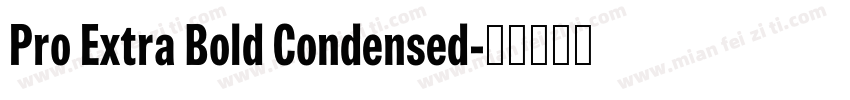 Pro Extra Bold Condensed字体转换